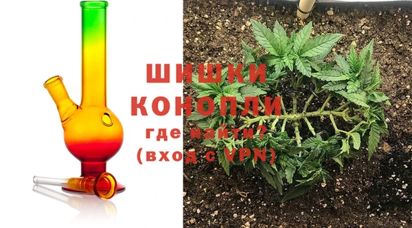 амф Богородск
