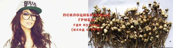 jwh Богданович