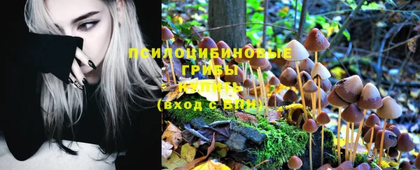 jwh Богданович