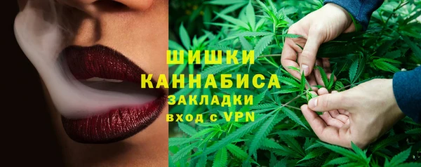 apvp Богородицк