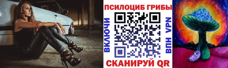 ОМГ ОМГ онион  Красный Холм  Галлюциногенные грибы Magic Shrooms 